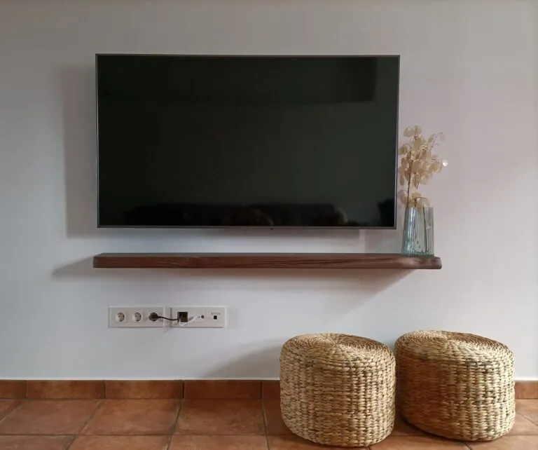 televisión